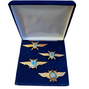 Soviet Airforce Pilot Wings Full Set